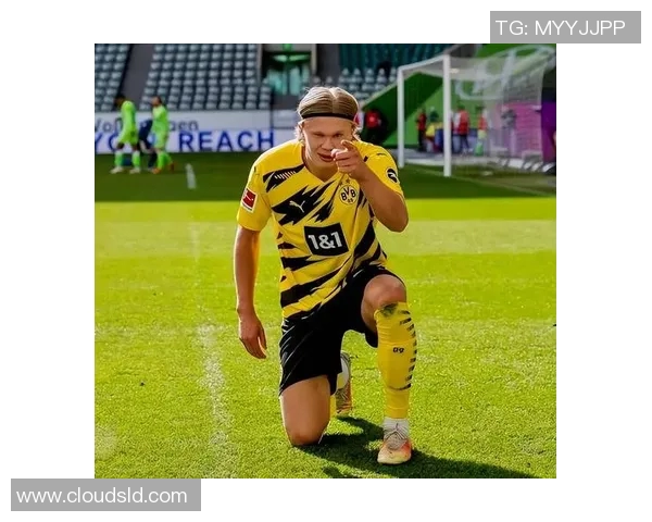 足球场球员行为规范与职业精神建设的实践与思考